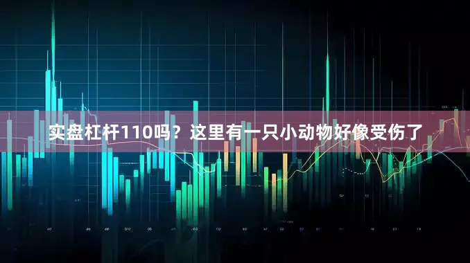 实盘杠杆110吗？这里有一只小动物好像受伤了