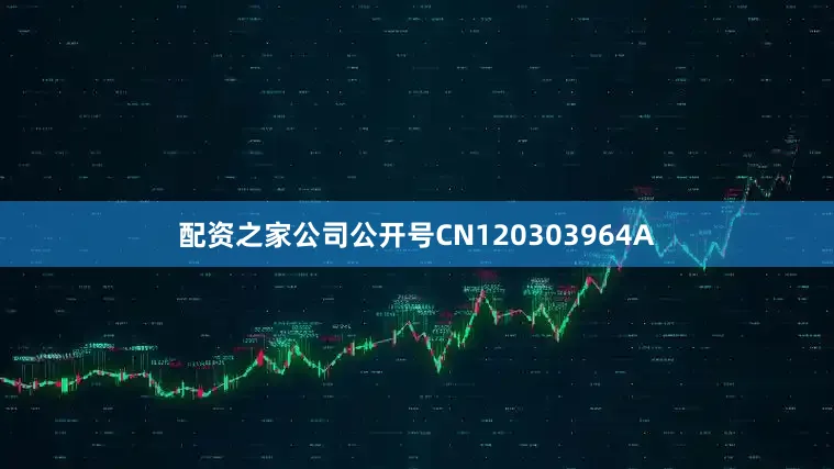 配资之家公司公开号CN120303964A