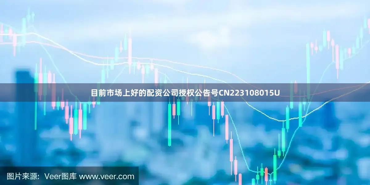 目前市场上好的配资公司授权公告号CN223108015U