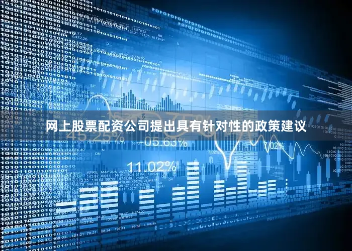 网上股票配资公司提出具有针对性的政策建议